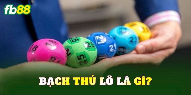 Bạch thủ lô là gì?