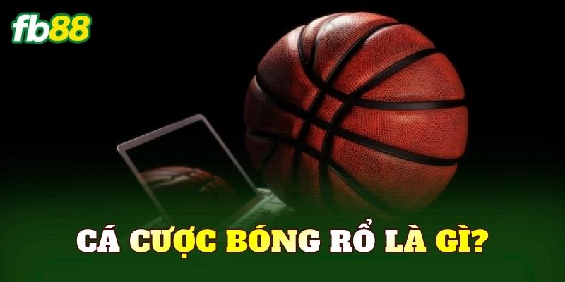 Cá cược bóng rổ là gì?