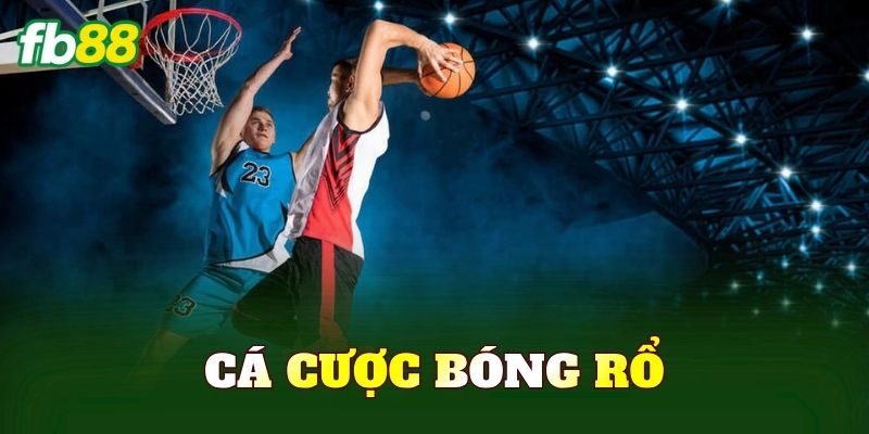 Cá Cược Bóng Rổ
