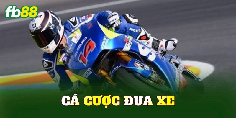 Cá Cược Đua Xe