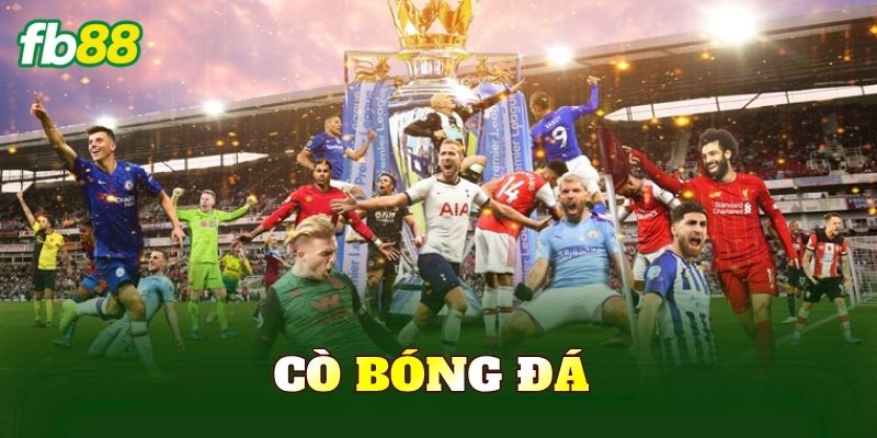 Cò Bóng Đá