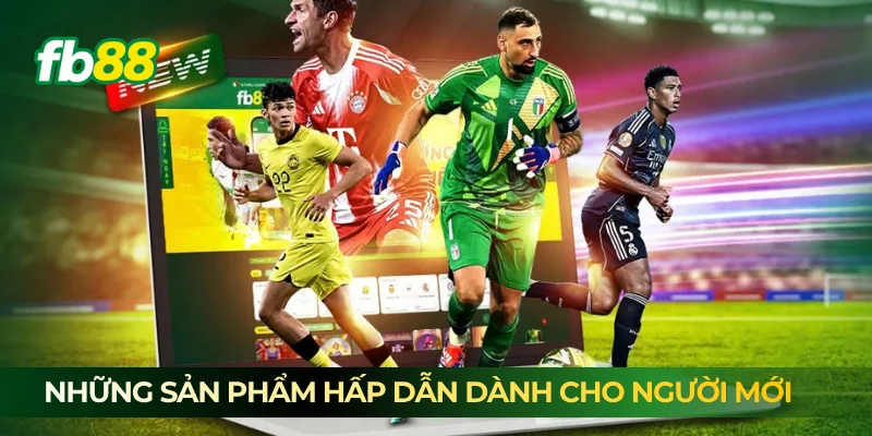 Những sản phẩm hấp dẫn dành cho người mới 